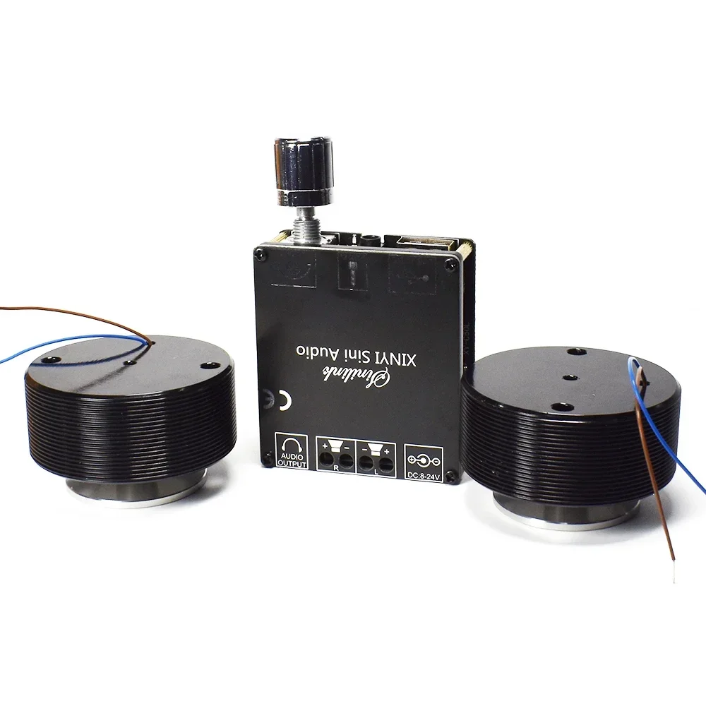 1 Juego de altavoz de vibració - Home Cinema Gadgets reseña y precio
