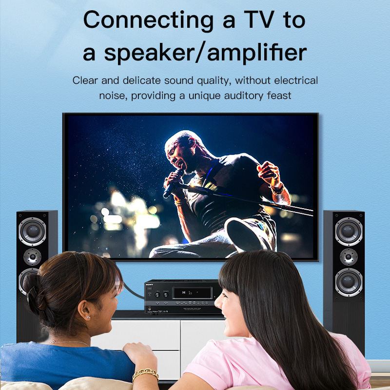 Cable RCA CHOSEAL, Cable de Au - Home Cinema Subwoofer reseña y precio
