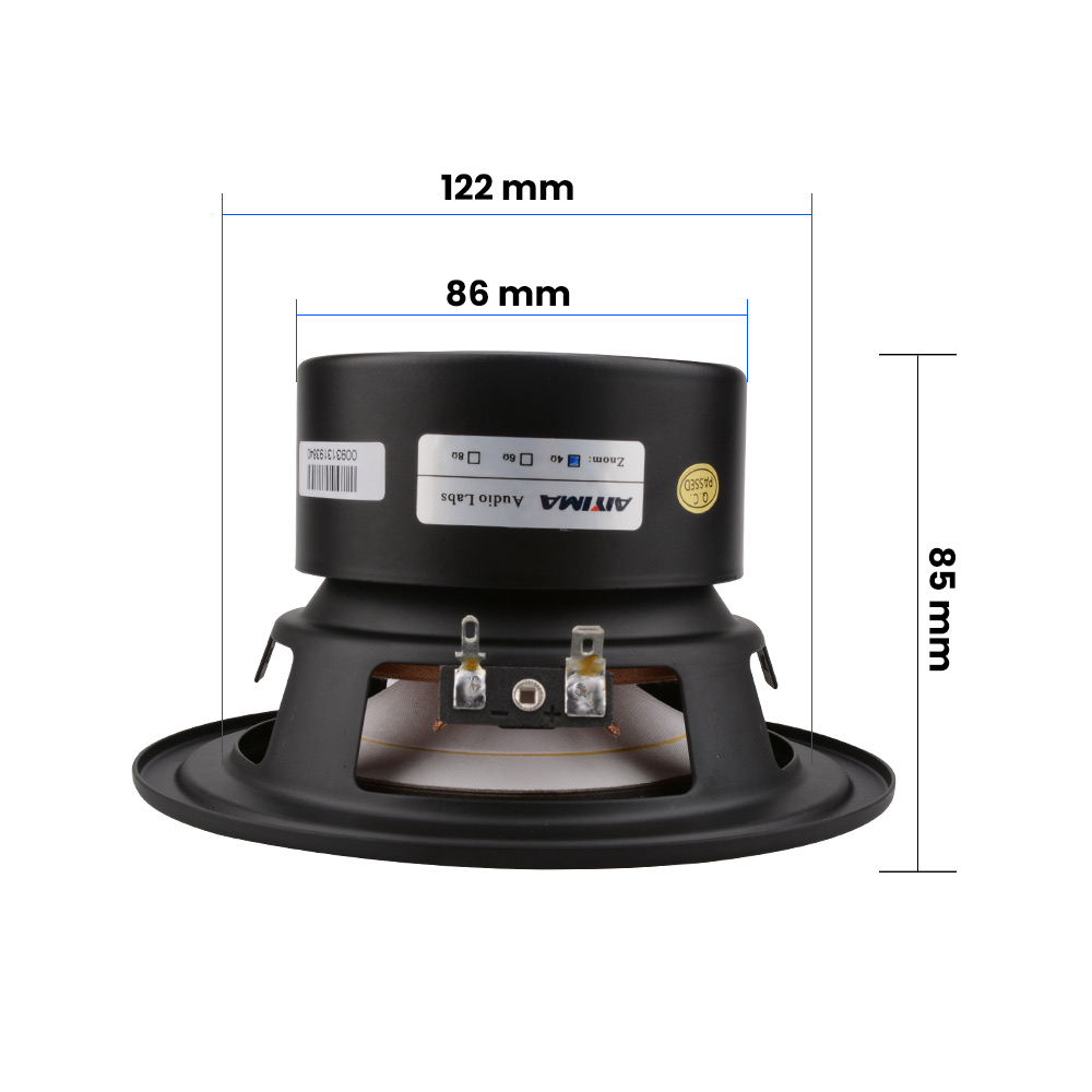 AIYIMA-altavoz de graves poten - Home Cinema Subwoofer reseña y precio